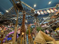 -卡通尼·Safari非洲探索乐园·生日会(金桥国际商业广场店)