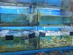 -老东镇啤酒屋海鲜加工·蒸汽海鲜·海鲜烧烤(台东店)