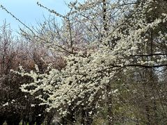 -贵阳市花溪国家城市湿地公园