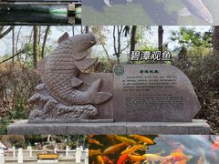 -东湖听涛景区