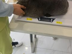 -艾吉宠物医院·疑难杂症转诊中心·猫友好(碧江路院)