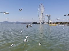 -蠡湖大桥公园
