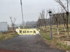 -天津东丽湖风景区