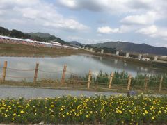 -光明小镇欢乐田园