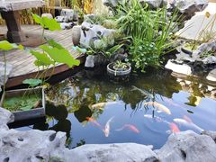 -道南書院·私房菜·早午茶·茶馆