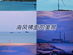 -汕尾风车岛