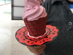 西班牙红提华夫筒-麦当劳(无锡滨湖万达店)