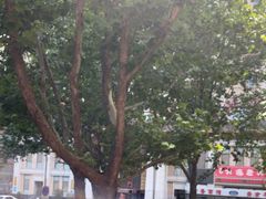 -笑掌室相声社(西安路五声剧场)