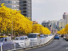 -洲头咀公园