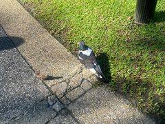 -麦哲伦丝绸度假村