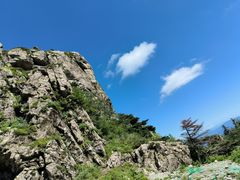 -牛背梁国家森林公园