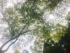 -石燕湖生态旅游景区