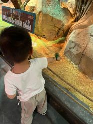 -酷嗒动物文化乐园(cutezoo西溪乐天城店)