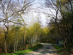 -紫金山天文台
