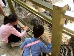 -深圳野生动物园