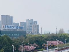 -钱塘江大桥