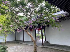 -上海醉白池公园