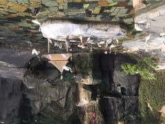 iphone_upload_pic-百鸟园