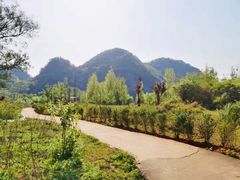 -普者黑风景区-青龙山
