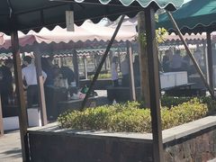 -春花秋色城市公园