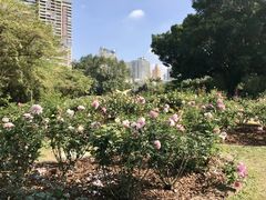 -人民公园(罗湖区)