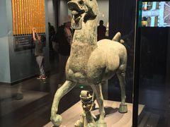 -广西壮族自治区博物馆