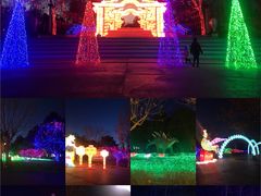 -青龙湖公园