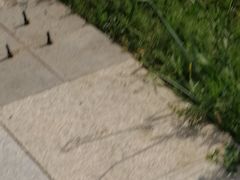 -焦岗湖影视城