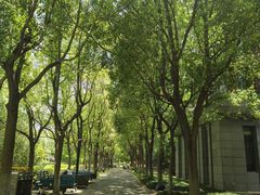 -华东政法大学(松江校区)