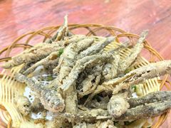 -旺家土菜馆(白水洋双溪镇店)