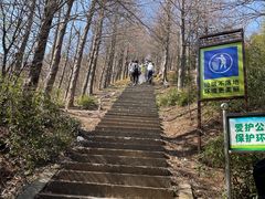 -东白山