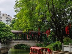-荔湾湖公园