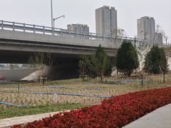 -永定河休闲森林公园