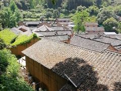 -杨家堂村