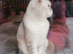 -无味饭店(九眼桥商业文化广场店)