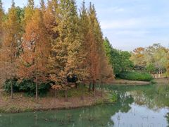 -贡湖湾湿地公园