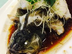 -北京老铺烤鸭(高新店)