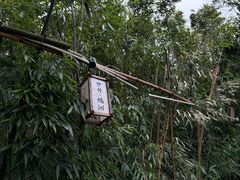 -橘子洲景区