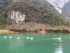-靖西鹅泉风景区