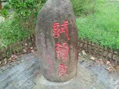 -合肥滨湖国家森林公园