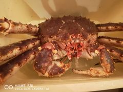 -苏浙总会(国金中心店)