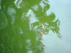 -海宁大尖山滑翔伞运动基地