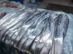 -西归浦每天偶来市场