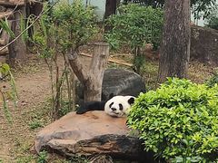 -南宁市动物园