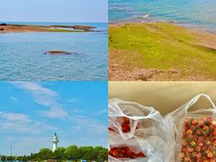 -日照灯塔风景区