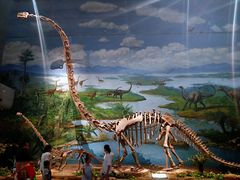 -自贡恐龙博物馆