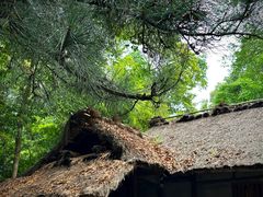 -成都杜甫草堂博物馆