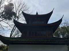 景点-虎跑公园