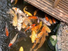-上海大自然野生昆虫馆(东方明珠·爬宠昆虫探索中心)
