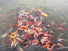 -西安关中民俗艺术博物院